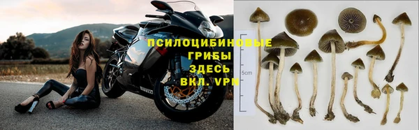 гидра Аркадак