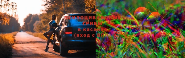амфетамин Арсеньев