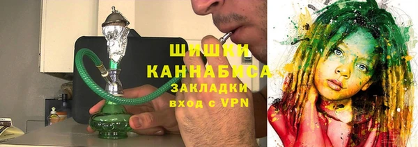 прущие грибы Гатчина