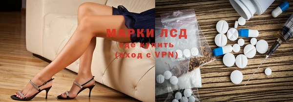 гидра Аркадак